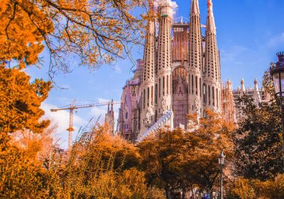 Barcelona (España)